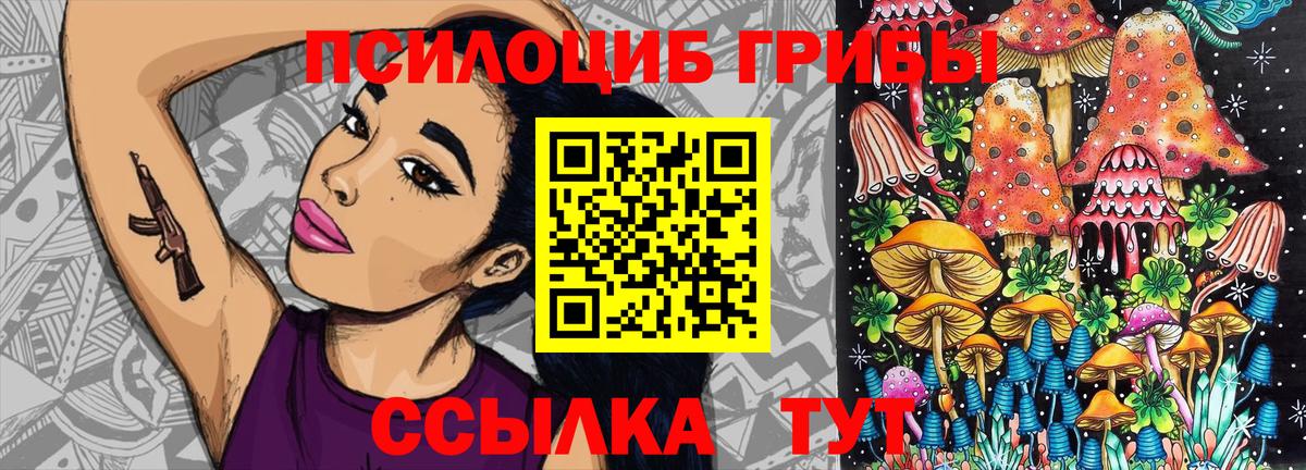 Галлюциногенные грибы Cubensis  Вход с VPN  Зеленогорск  Псилоцибиновые грибы MAGIC MUSHROOMS 