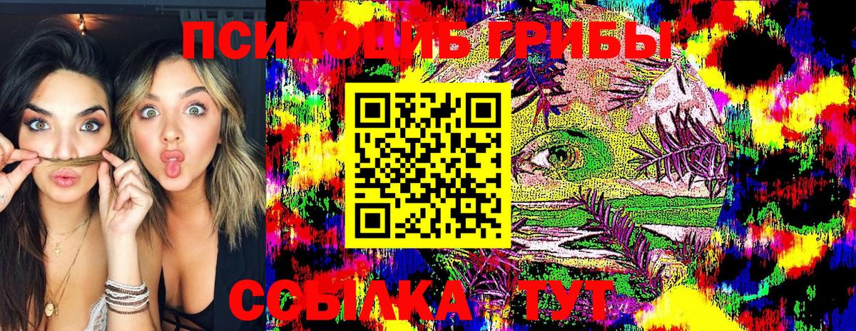 Галлюциногенные грибы прущие грибы  Псилоцибиновые грибы ЛСД  Зеленогорск 