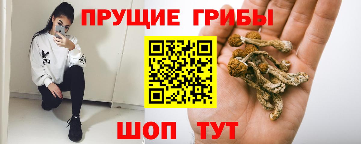 Галлюциногенные грибы мухоморы Зеленогорск